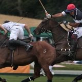 Polo, Commercial Wedding Photographers: Photoscience.co.uk